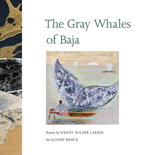 The Gray Whales of Baja